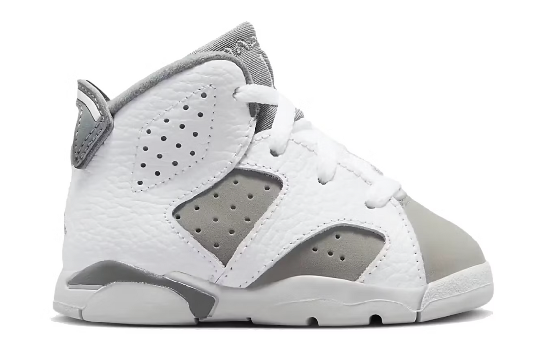 Jordan 6 Retro Cool Grey (TD)