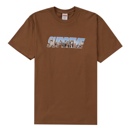 Supreme Gotham Tee Light Brown