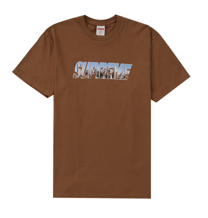 Supreme Gotham Tee Light Brown