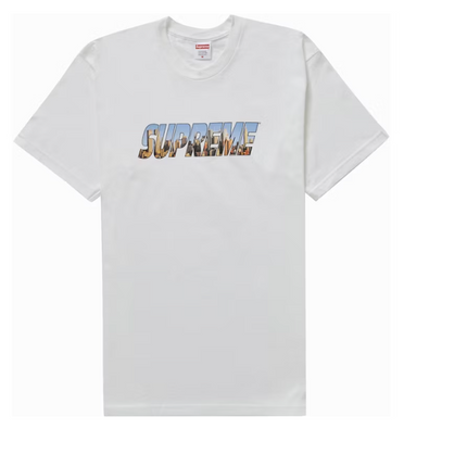 Supreme Gotham Tee White