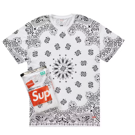 Supreme Hanes Bandana Tagless Tees (2 Pack) White