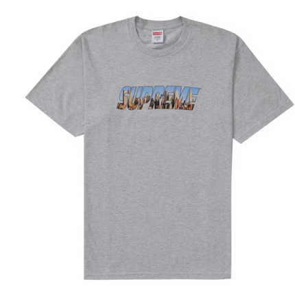 Supreme Gotham Tee Ash Grey