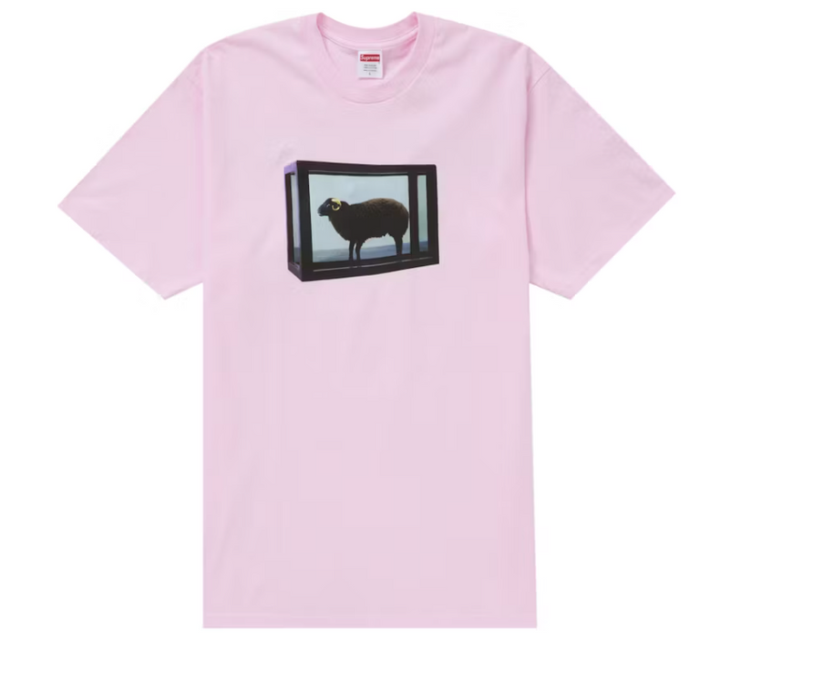 Supreme Damien Hirst Tee Light Pink