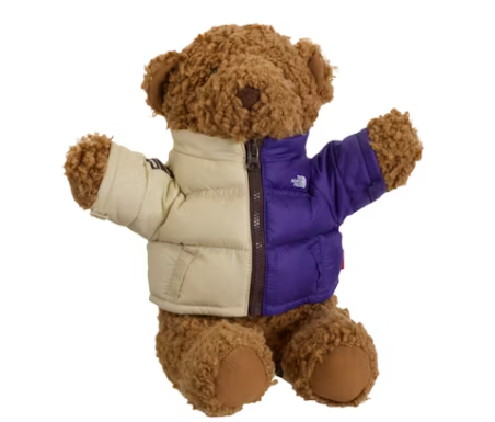 Supreme The North Face Bear Tan