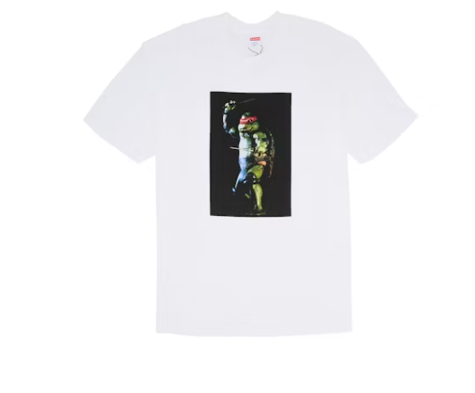 Supreme Raphael Tee White
