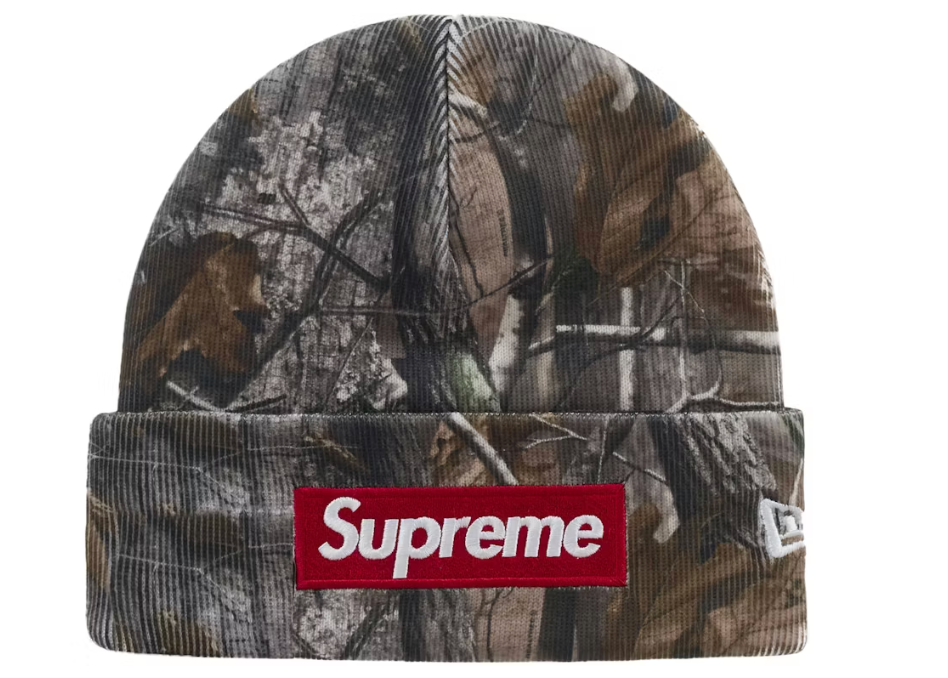 Supreme New Era Box Logo Beanie (FW25) Realtree AP Camo